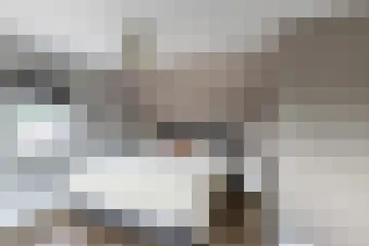 Eindsestraat 29 Dongen thumbnail 23