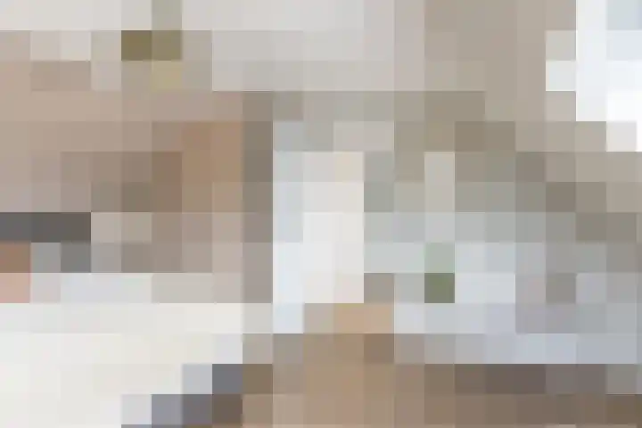 Eindsestraat 29 Dongen thumbnail 26