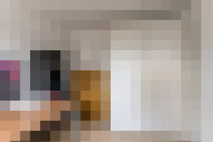 Eindsestraat 29 Dongen thumbnail 30