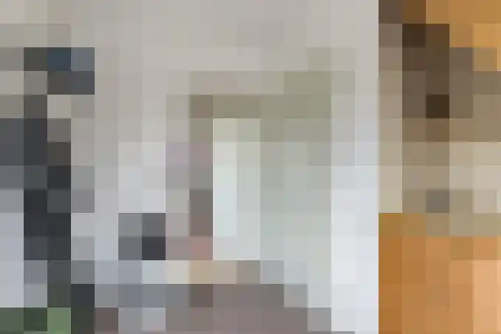 Eindsestraat 29 Dongen thumbnail 32