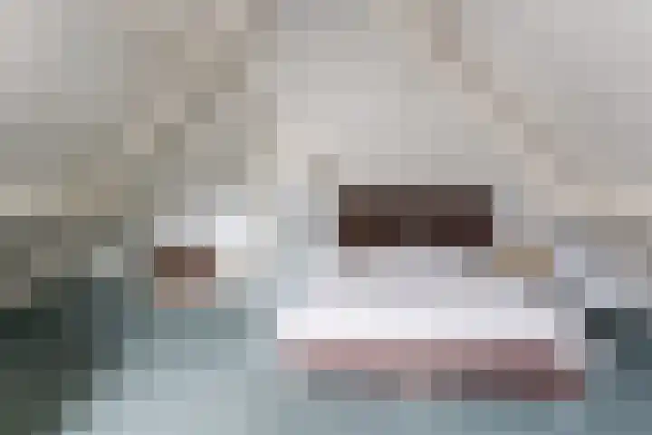 Eindsestraat 29 Dongen thumbnail 35