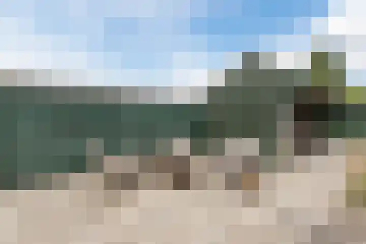 Eindsestraat 29 Dongen thumbnail 41