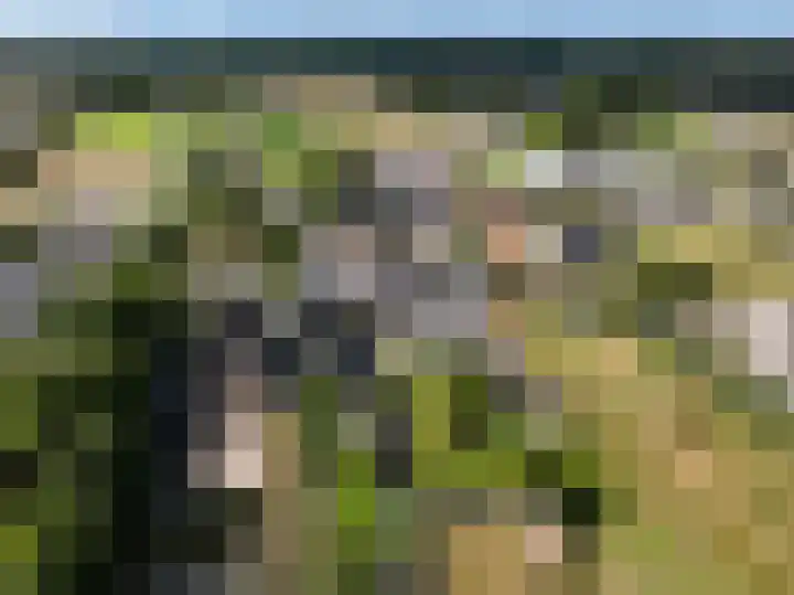 Eindsestraat 29 Dongen thumbnail 50