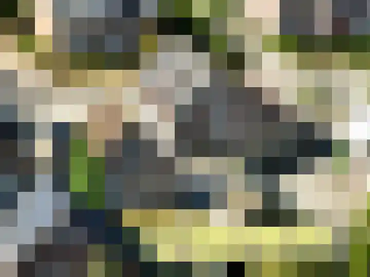 Eindsestraat 29 Dongen thumbnail 51