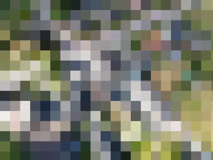Eindsestraat 29 Dongen thumbnail 52