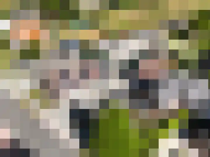Eindsestraat 29 Dongen thumbnail 53