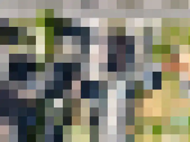 Eindsestraat 29 Dongen thumbnail 54
