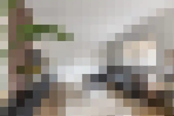 Eindsestraat 29 Dongen thumbnail 7