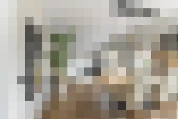 Eindsestraat 29 Dongen thumbnail 8
