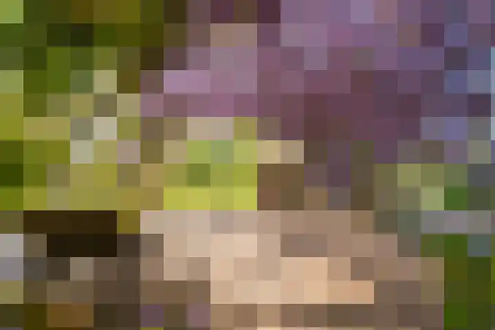 Eindsestraat 41 Drongelen thumbnail 32