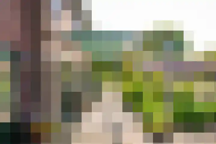 Eindsestraat 41 Drongelen thumbnail 34