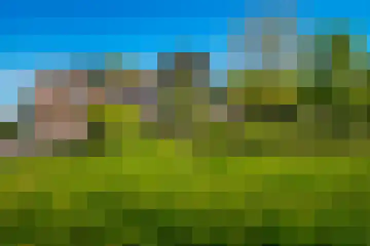 Eindsestraat 41 Drongelen thumbnail 36