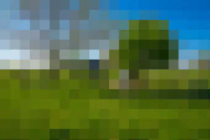 Eindsestraat 41 Drongelen thumbnail 37
