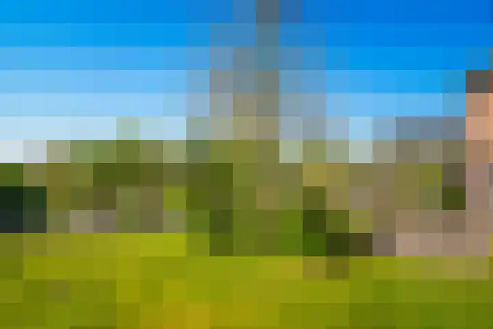 Eindsestraat 41 Drongelen thumbnail 39