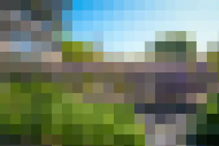 Eindsestraat 41 Drongelen thumbnail 40