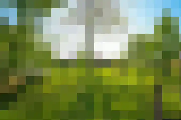 Eindsestraat 41 Drongelen thumbnail 41
