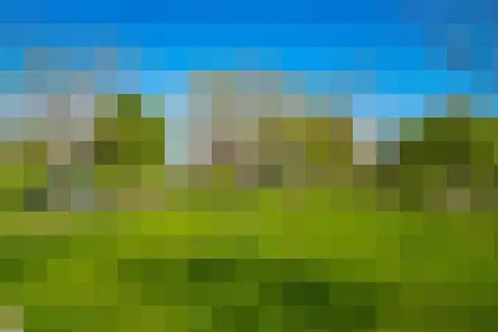 Eindsestraat 41 Drongelen thumbnail 43