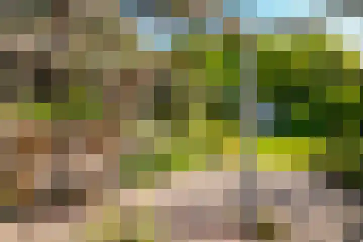 Eindsestraat 41 Drongelen thumbnail 46