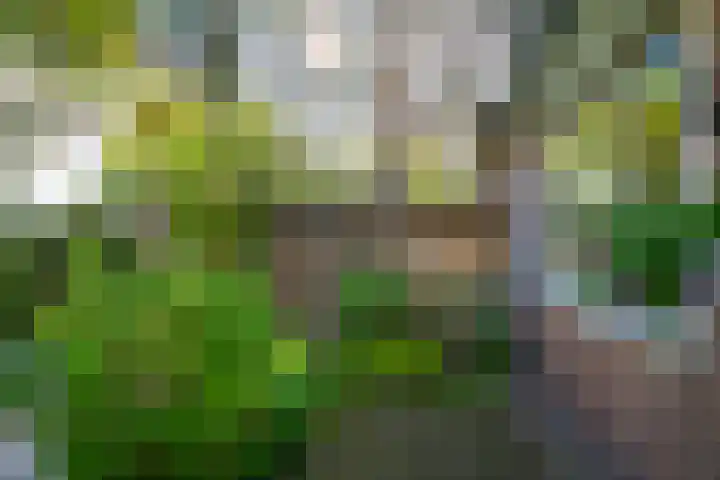 Eindsestraat 41 Drongelen thumbnail 62