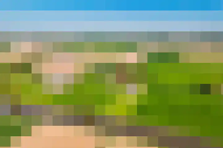 Eindsestraat 41 Drongelen thumbnail 64