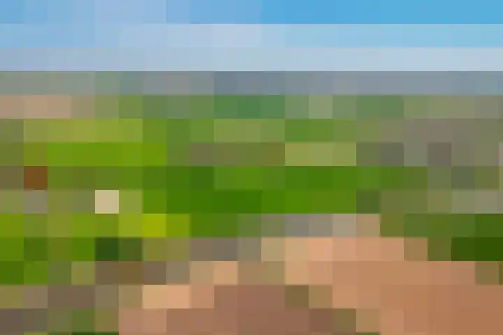Eindsestraat 41 Drongelen thumbnail 65