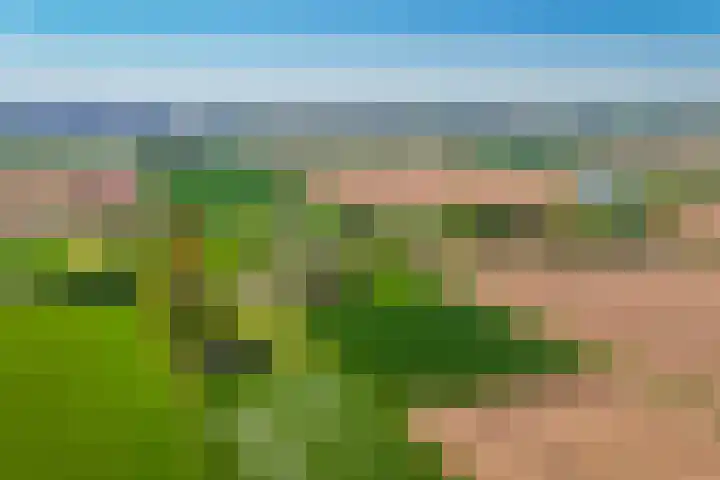 Eindsestraat 41 Drongelen thumbnail 67