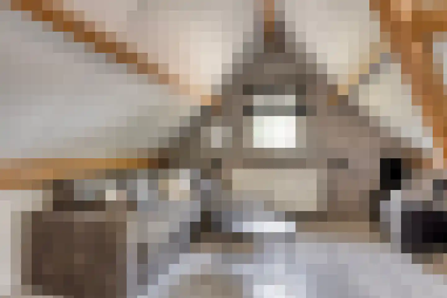 Eindsestraat 55 a Drongelen thumbnail 31