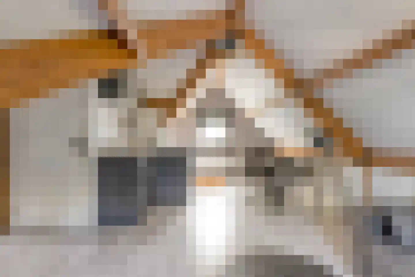 Eindsestraat 55 a Drongelen thumbnail 32