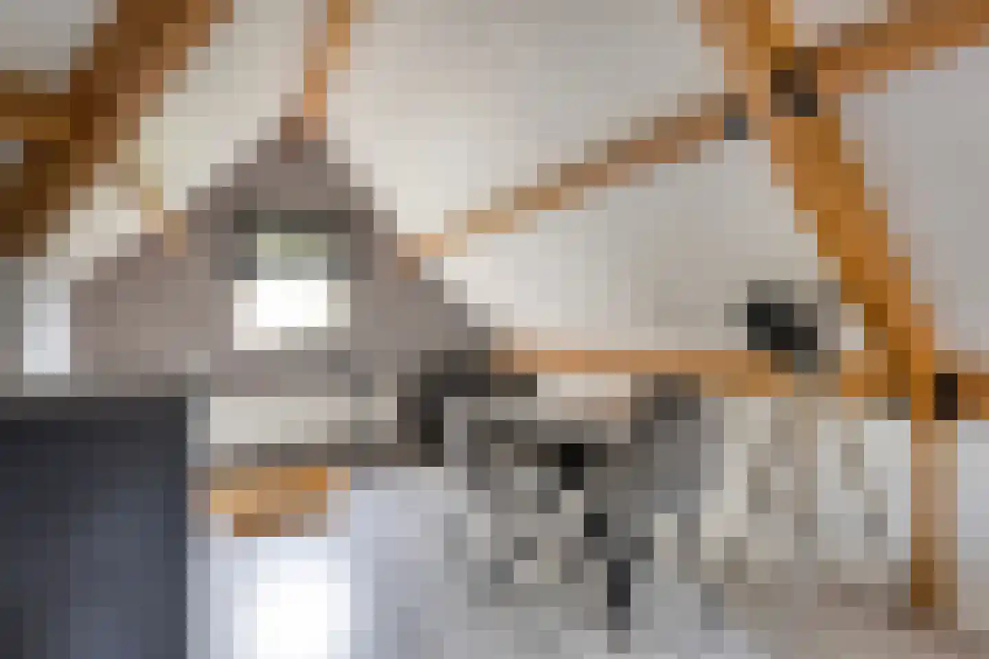 Eindsestraat 55 a Drongelen thumbnail 33