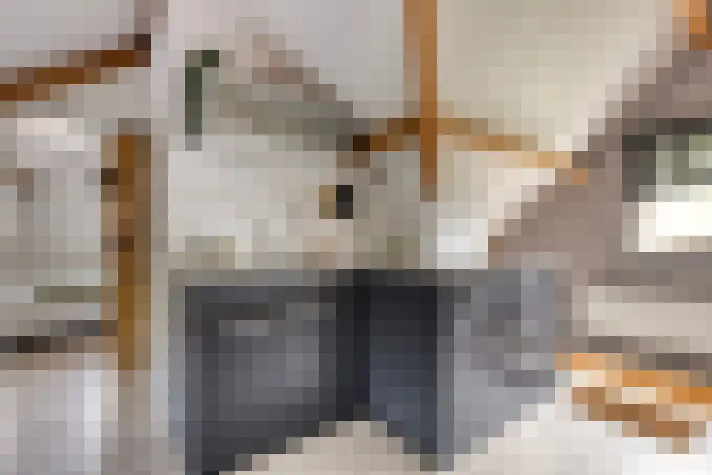 Eindsestraat 55 a Drongelen thumbnail 34