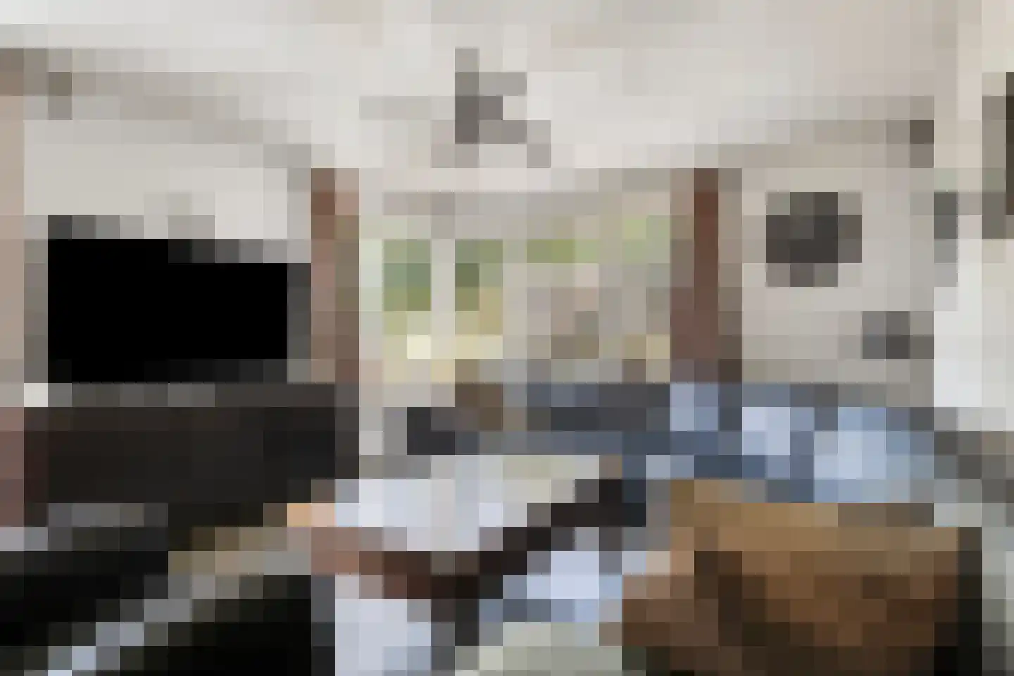Eindsestraat 55 a Drongelen thumbnail 5