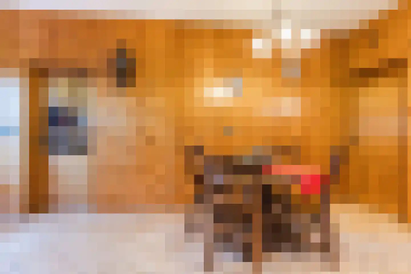 Eindsestraat 65 Dongen thumbnail 11