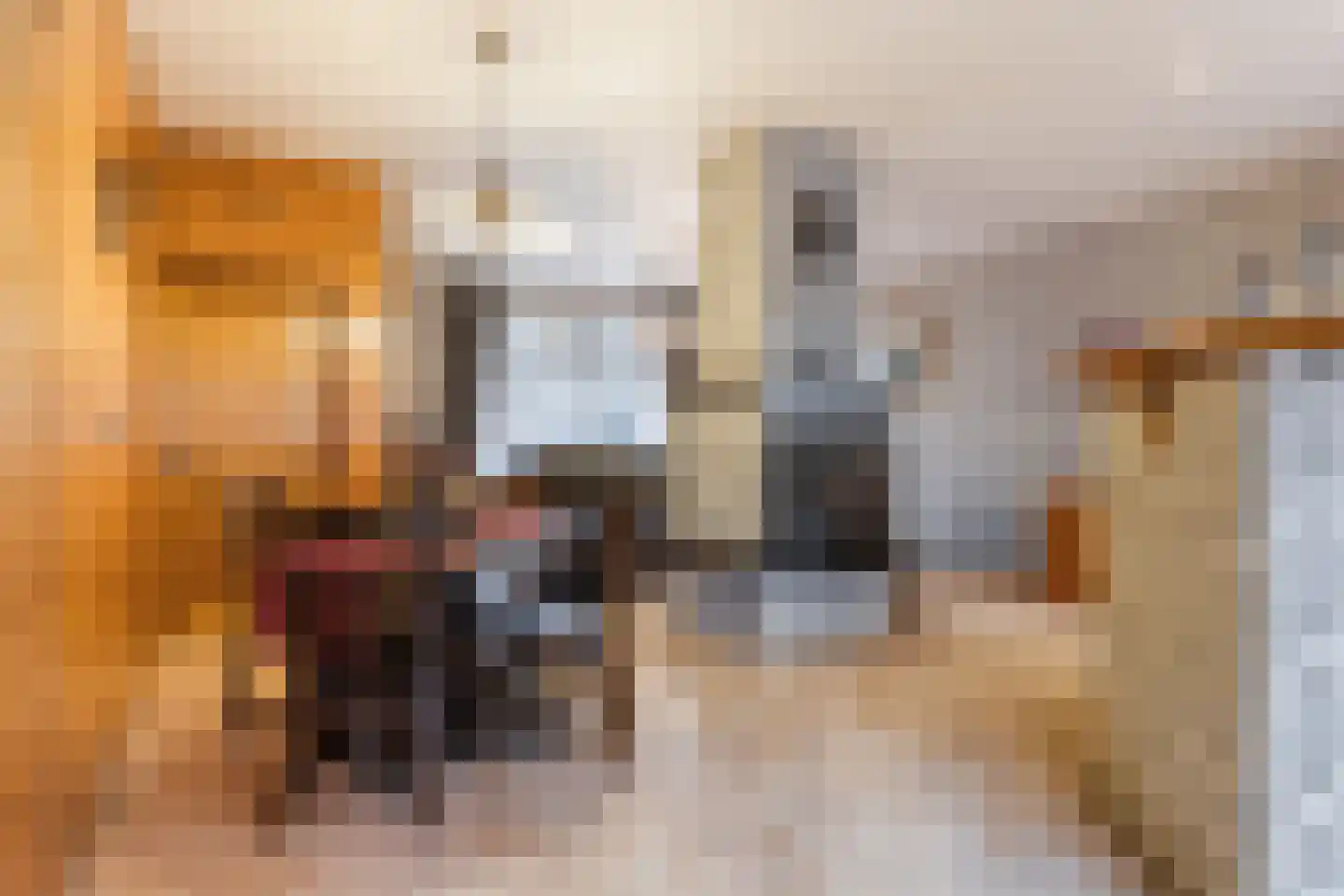 Eindsestraat 65 Dongen thumbnail 12