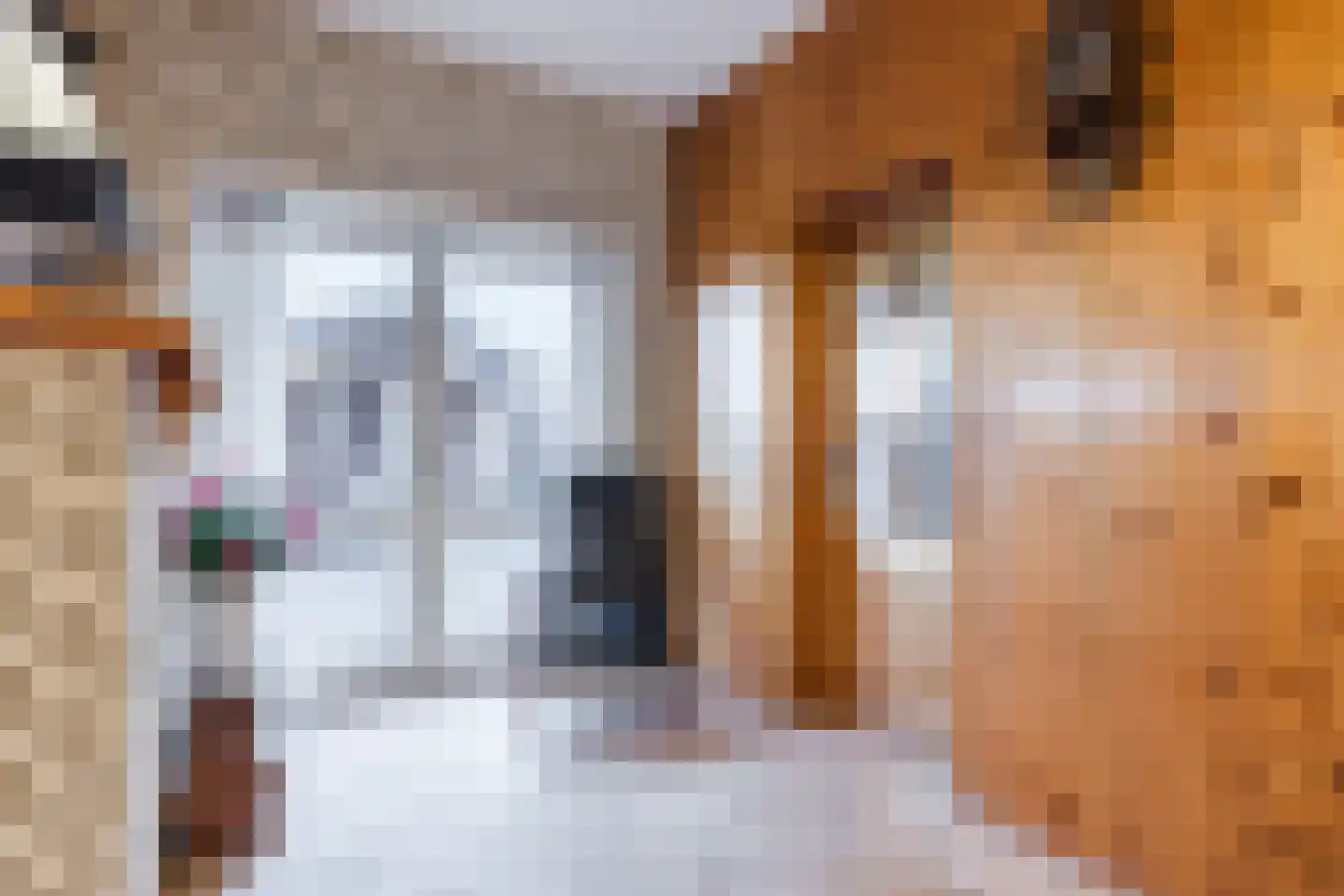 Eindsestraat 65 Dongen thumbnail 13