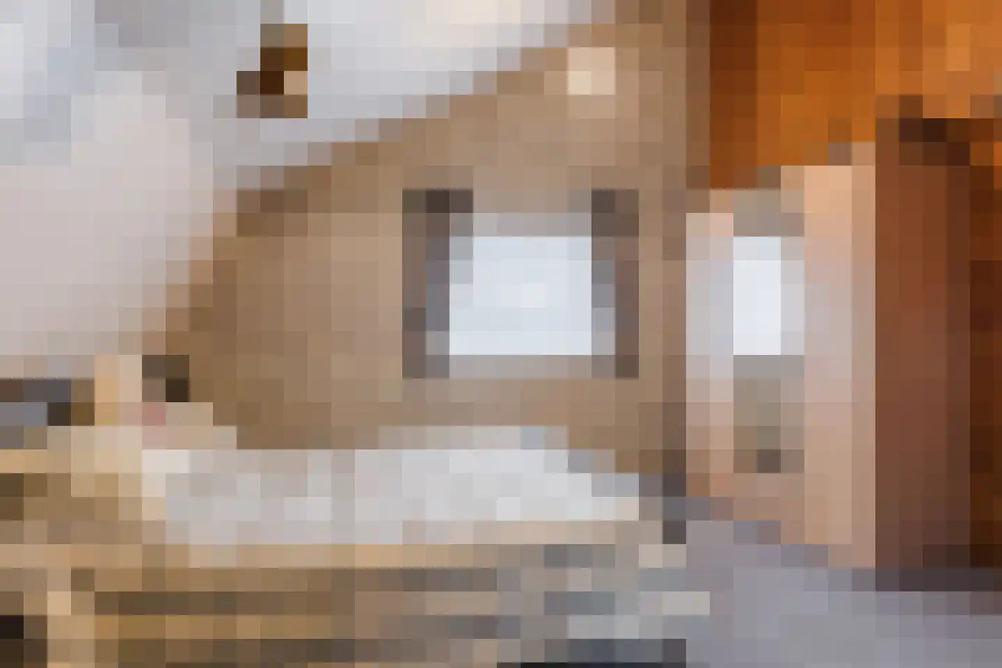 Eindsestraat 65 Dongen thumbnail 25