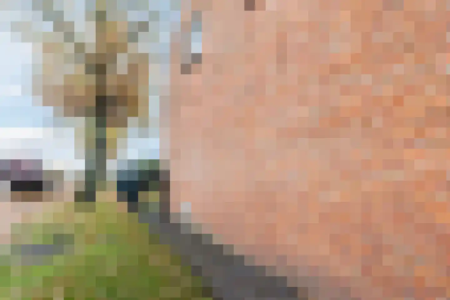 Eindsestraat 65 Dongen thumbnail 35