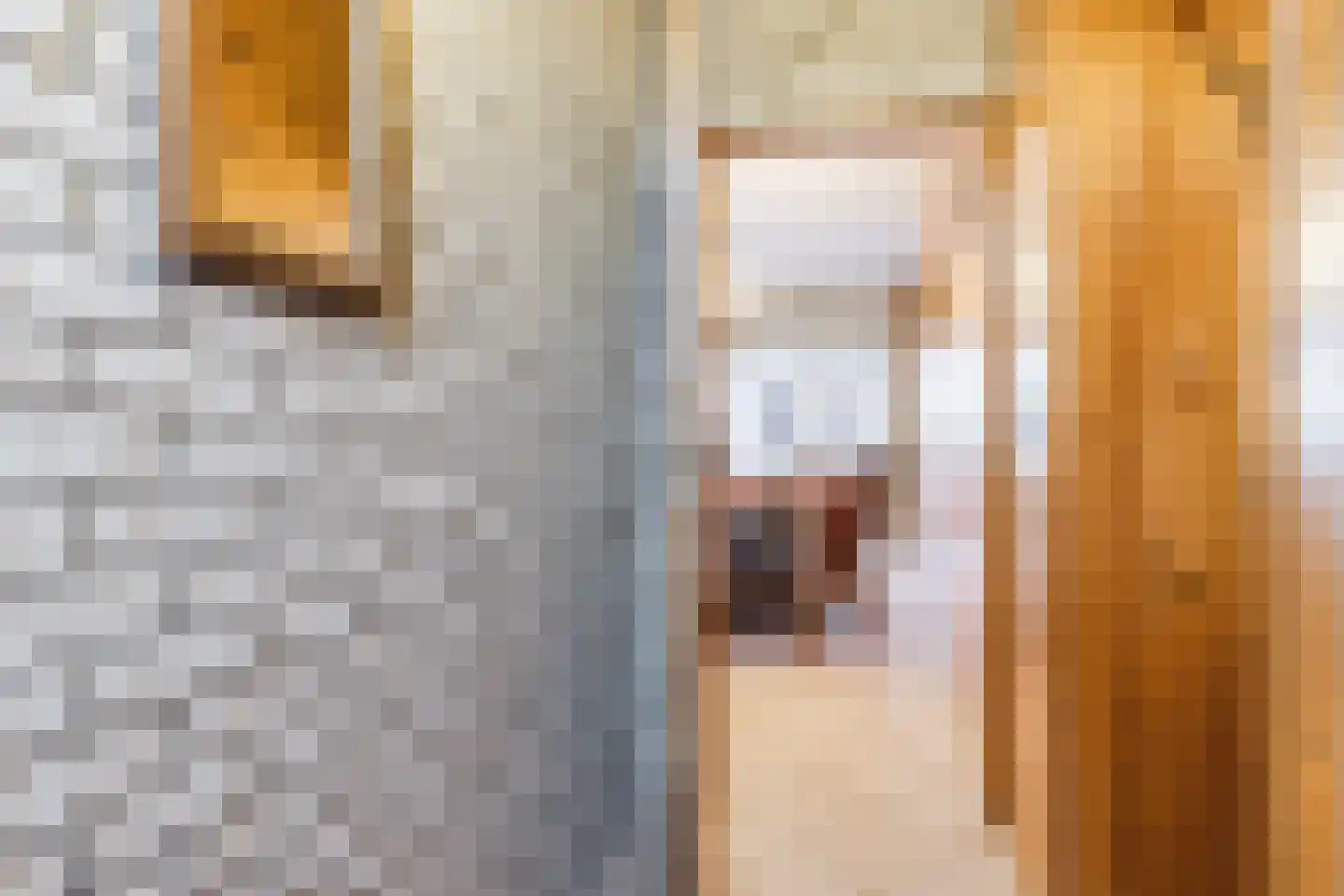 Eindsestraat 65 Dongen thumbnail 7