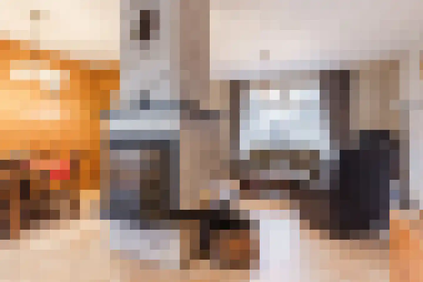 Eindsestraat 65 Dongen thumbnail 8