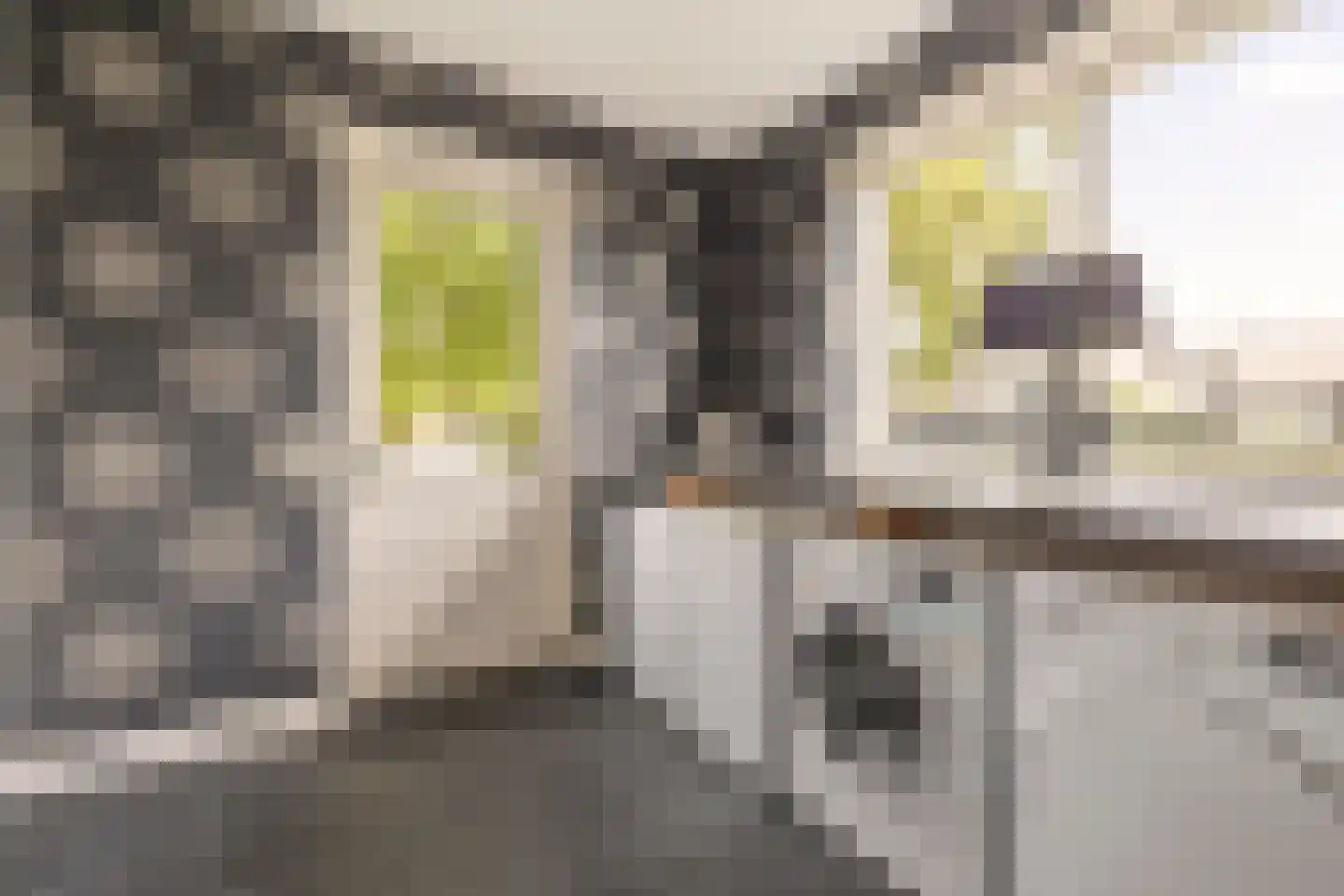 Eindsplits 1 Almere thumbnail 29