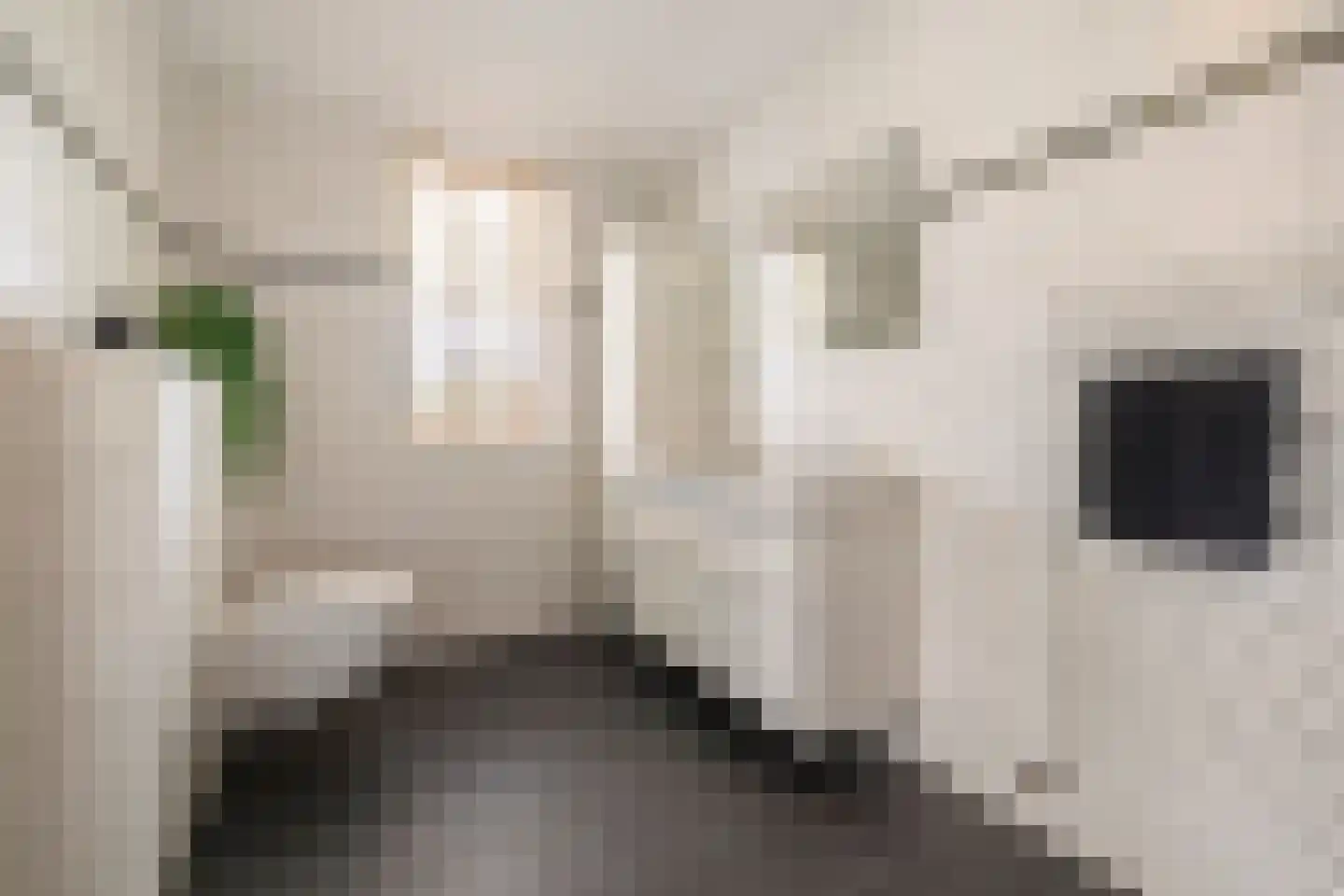 Eindsplits 1 Almere thumbnail 32