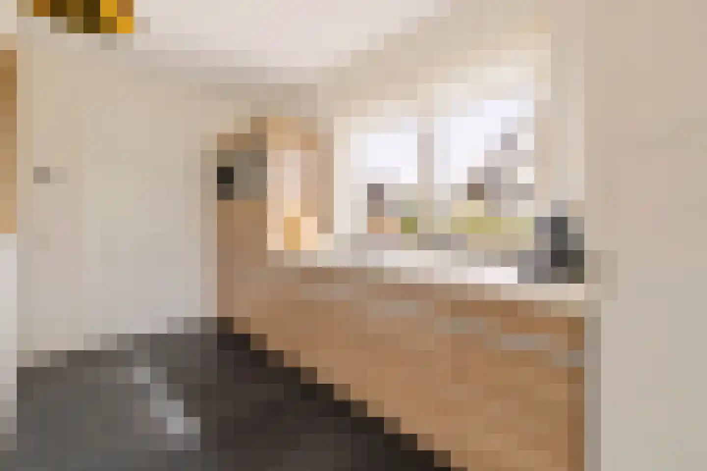 Eindsplits 1 Almere thumbnail 34