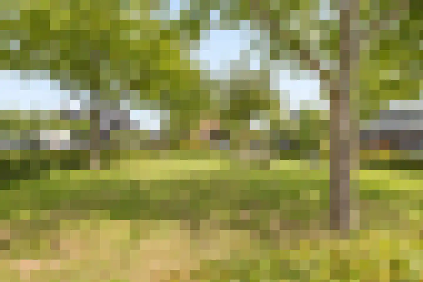 Eindsplits 1 Almere thumbnail 50
