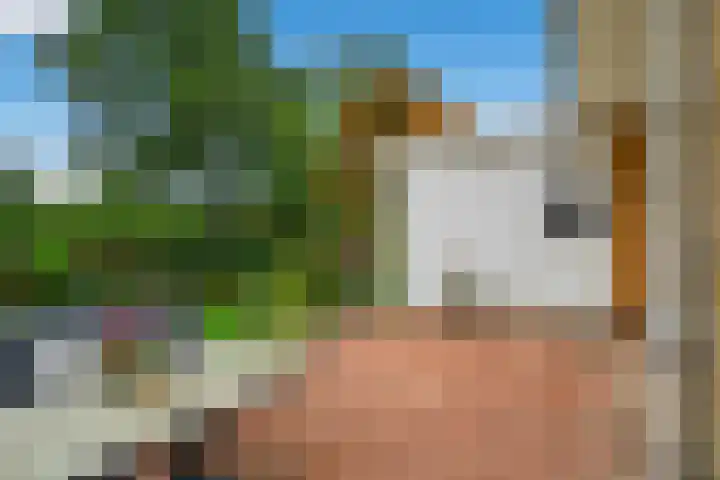 Eindstede 12 Den Haag thumbnail 12