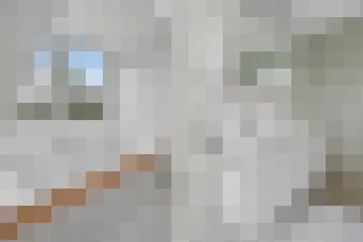 Eindstede 12 Den Haag thumbnail 54