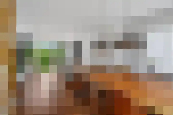 Eindstede 12 Den Haag thumbnail 7