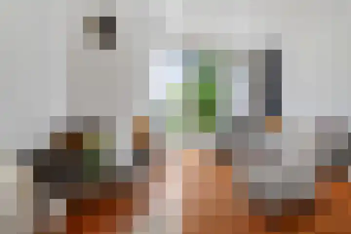 Eindstede 12 Den Haag thumbnail 9