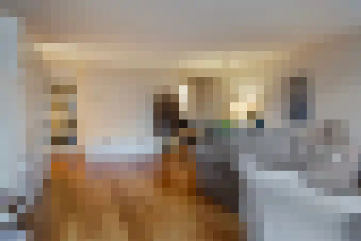 Eindstraat 110 Venray thumbnail 9