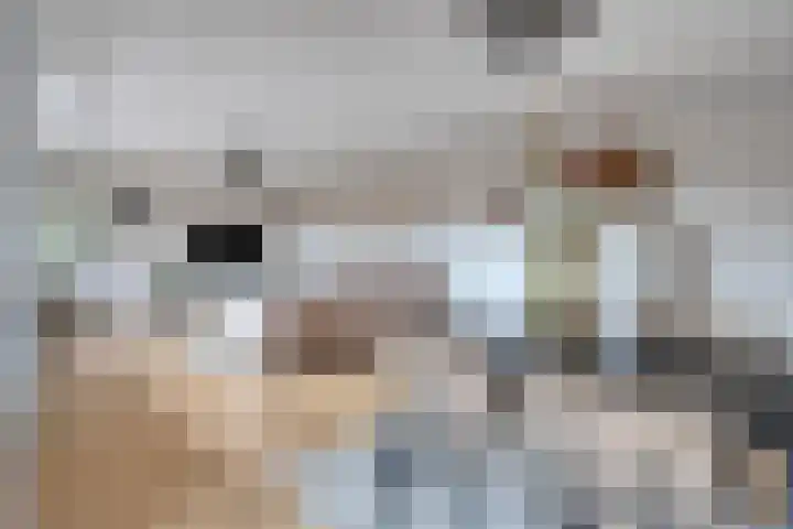 Eindstraat 116 Venray thumbnail 12