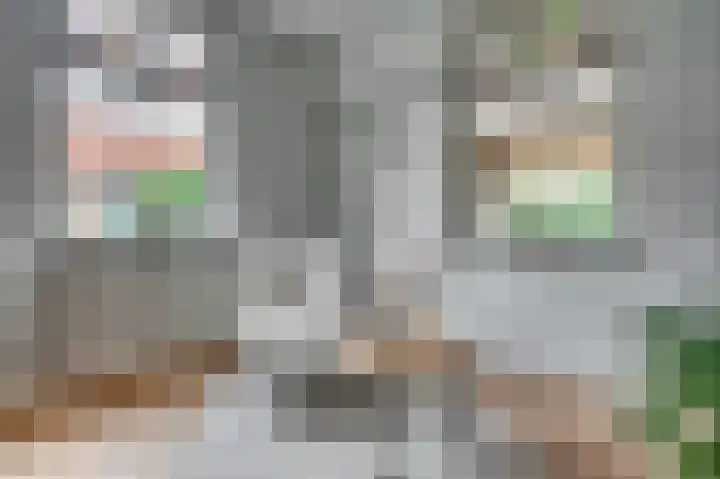 Eindstraat 17 Horn thumbnail 26