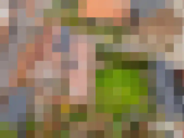 Eindstraat 17 Horn thumbnail 71